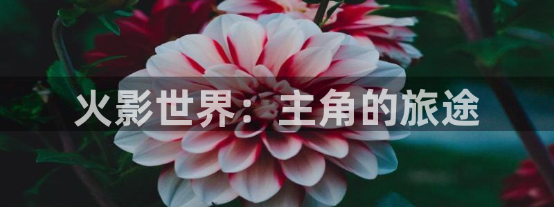 动漫之家ios版