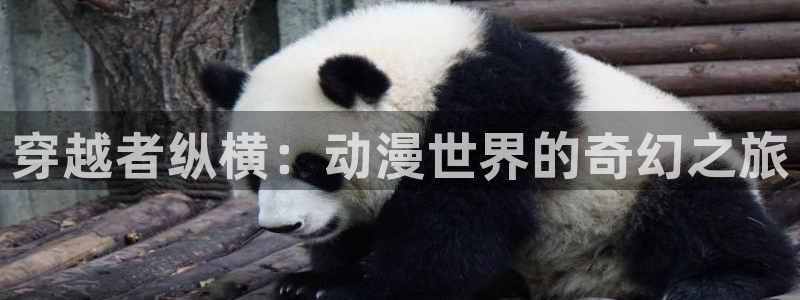 蝙蝠侠动漫之家