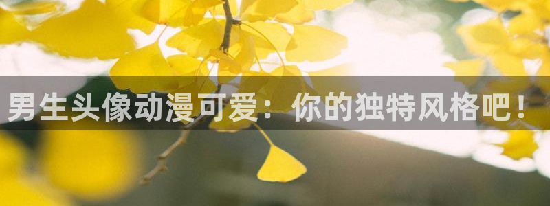 霹雳动漫之家