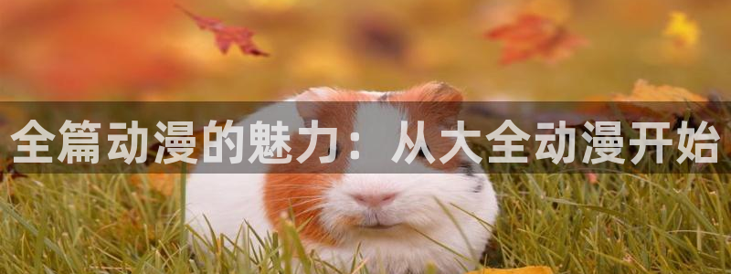 动漫之家+app下载