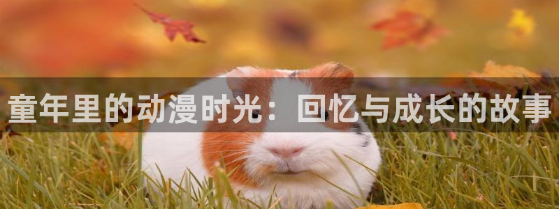 58动漫之家