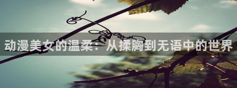 动漫之家最新