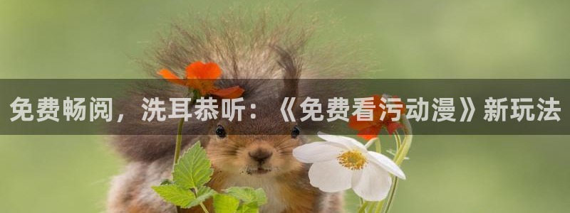 动漫之家汉化组