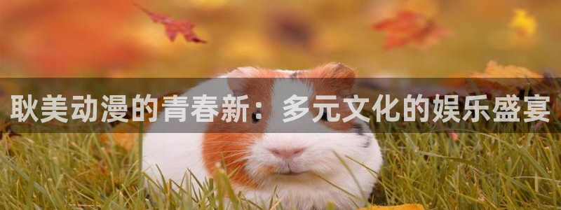 动漫之家漫画网页版：耿美动漫的青春新：多元文化的娱乐盛宴