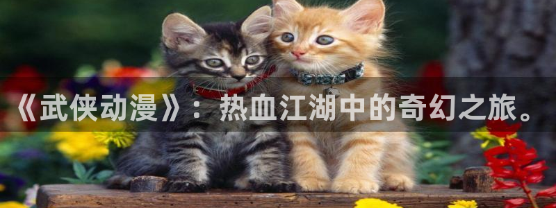 动漫之家主页：《武侠动漫》：热血江湖中的奇幻之旅。