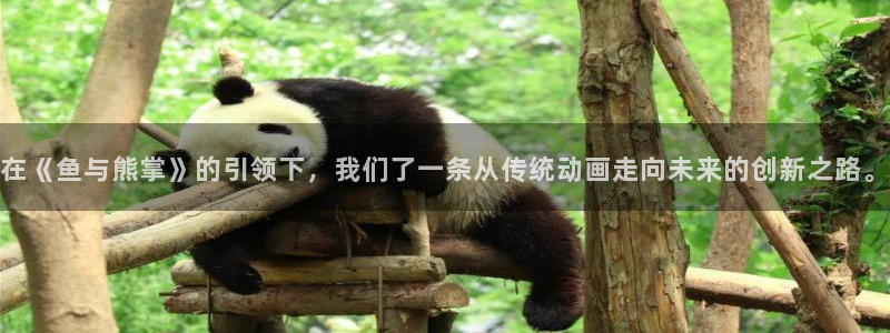 动漫之家论坛：在《鱼与熊掌》的引领下，我们了一条从传统动画走向未来的创新之路。