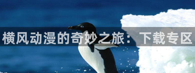 动漫之家网：横风动漫的奇妙之旅：下载专区