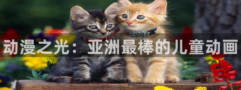 动漫之家怎么看漫画：动漫之光：亚洲最棒的儿童动画