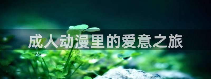 动漫之家 网页：成人动漫里的爱意之旅
