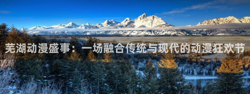 动漫之家在哪下：芜湖动漫盛事：一场融合传统与现代的动漫狂欢节