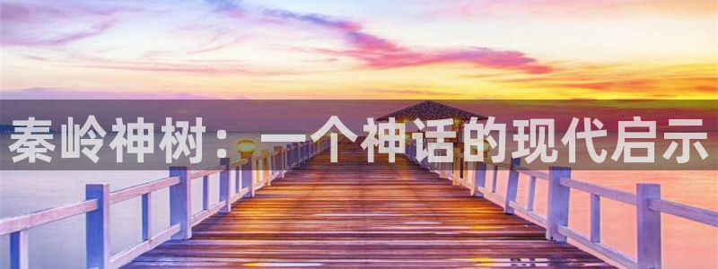 城市猎人动漫之家：秦岭神树：一个神话的现代启示