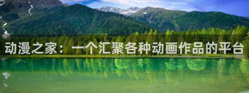 动漫之家无响应