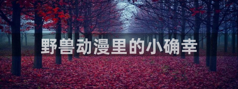 动漫之家手机