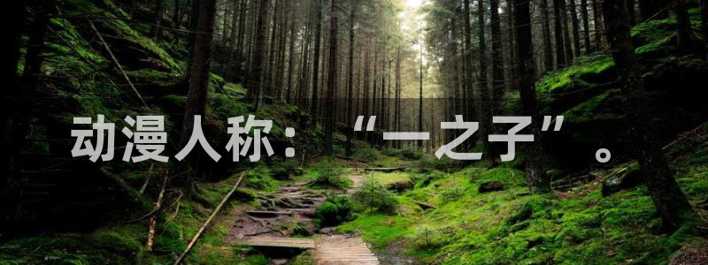 动漫之家排行