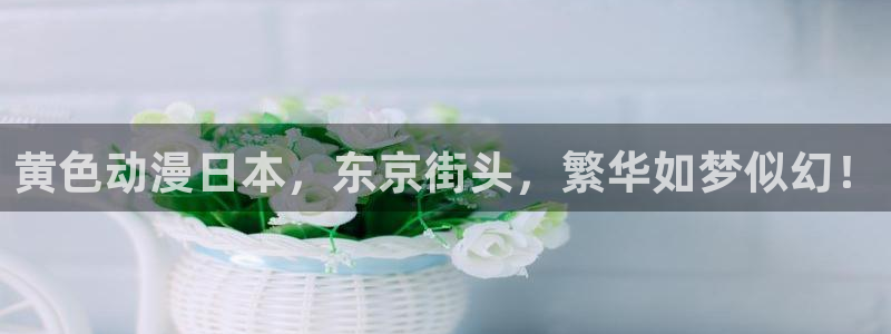剑风传奇漫画动漫之家