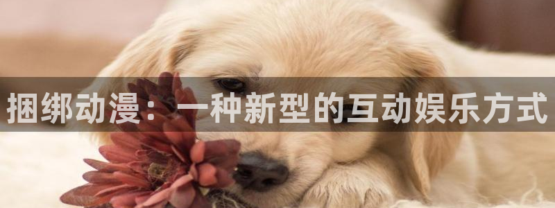 动漫之家3.8.2