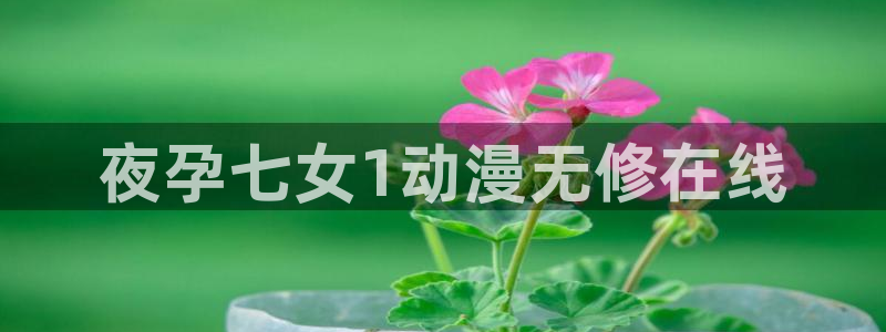 动漫之家官网