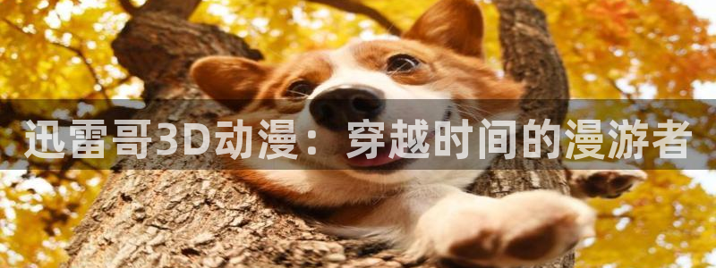 漫动漫之家