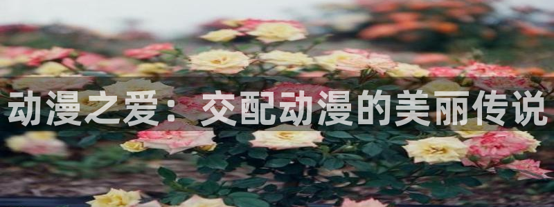 动漫之家官方网页：动漫之爱：交配动漫的美丽传说