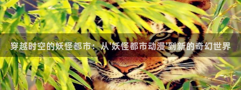 动漫之家怎么看不了漫画