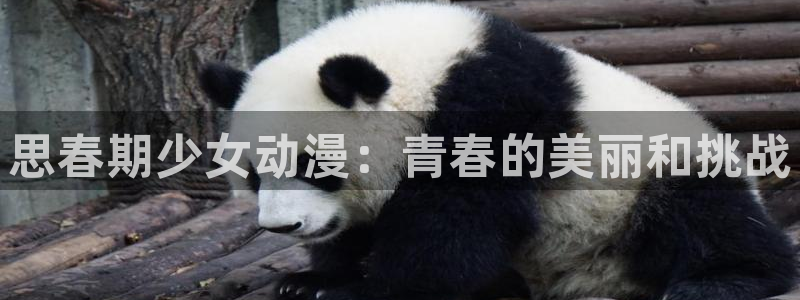动漫之家排行