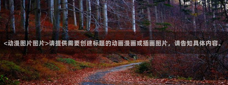 动漫之家3.0版本
