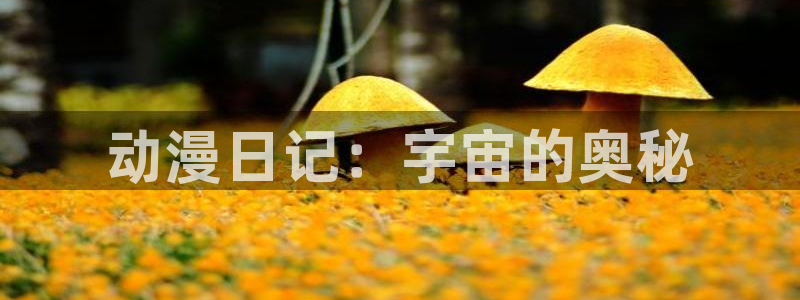 动漫之家下载官网