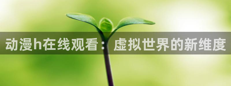 动漫之家哪个版本最好