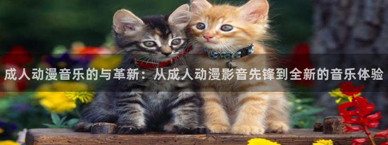 漫动漫之家