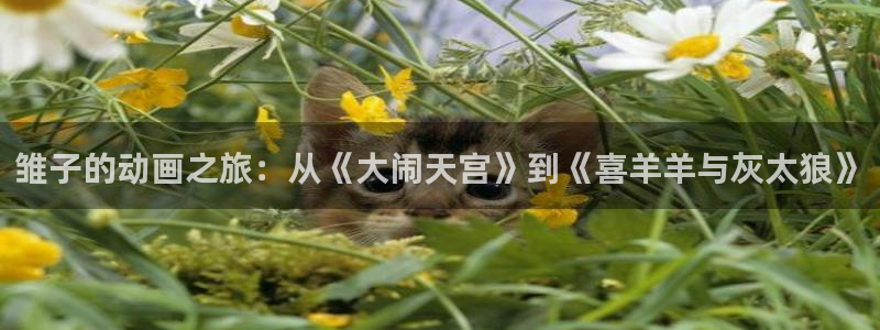 黄金树之路动漫之家