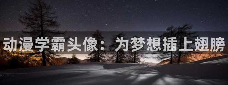 动漫之家 社区版