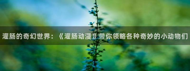 动漫之家网页版在线看