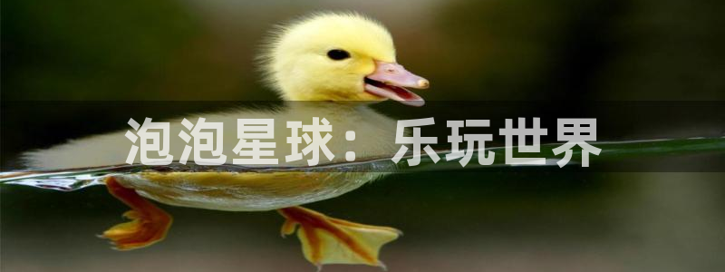 178动漫之家