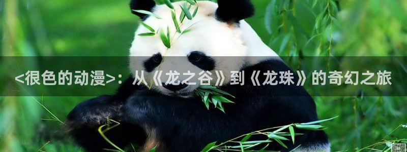 动漫之家社区版最新