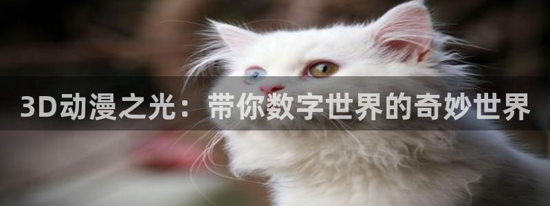 动漫之家小说