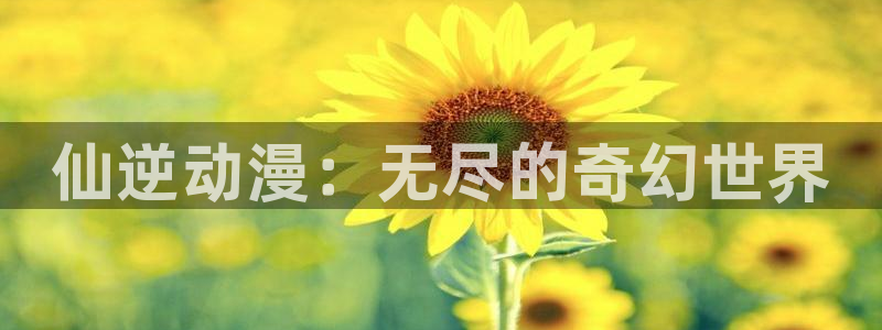 58动漫之家