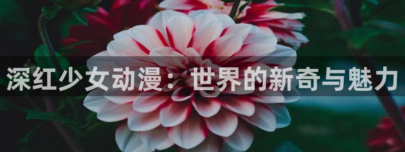 动漫之家动漫网站