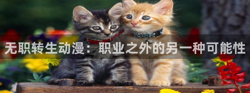 动漫之家漫画在线：无职转生动漫：职业之外的另一种可能性
