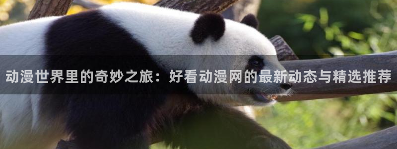 动漫之家论坛：动漫世界里的奇妙之旅：好看动漫网的最新动态与精选推荐