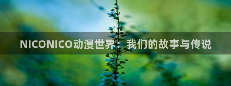 动漫之家网页版下载：NICONICO动漫世界：我们的故事与传说