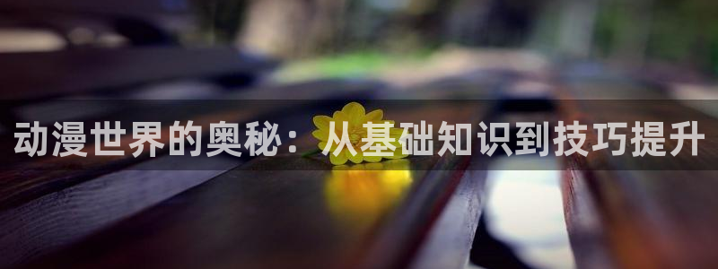动漫之家app官网：动漫世界的奥秘：从基础知识到技巧提升