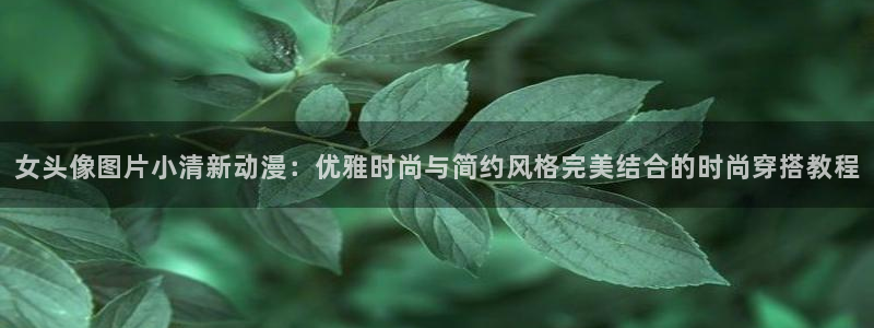 浪漫传说漫画免费观看动漫之家：女头像图片小清新动漫：优雅时尚与简约风格完美结合的时尚穿搭教程